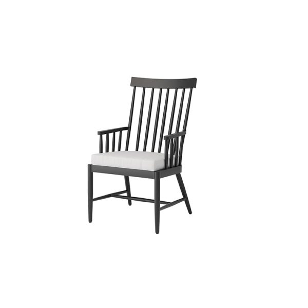 Palazzo Dining Arm Chair Outdoor Patio Aluminum Cushion Chair