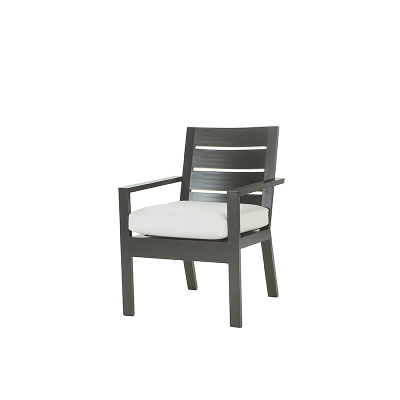 Palermo Dining Arm Chair Outdoor Patio Aluminum Cushion Chair